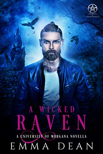 A Wicked Raven book cover