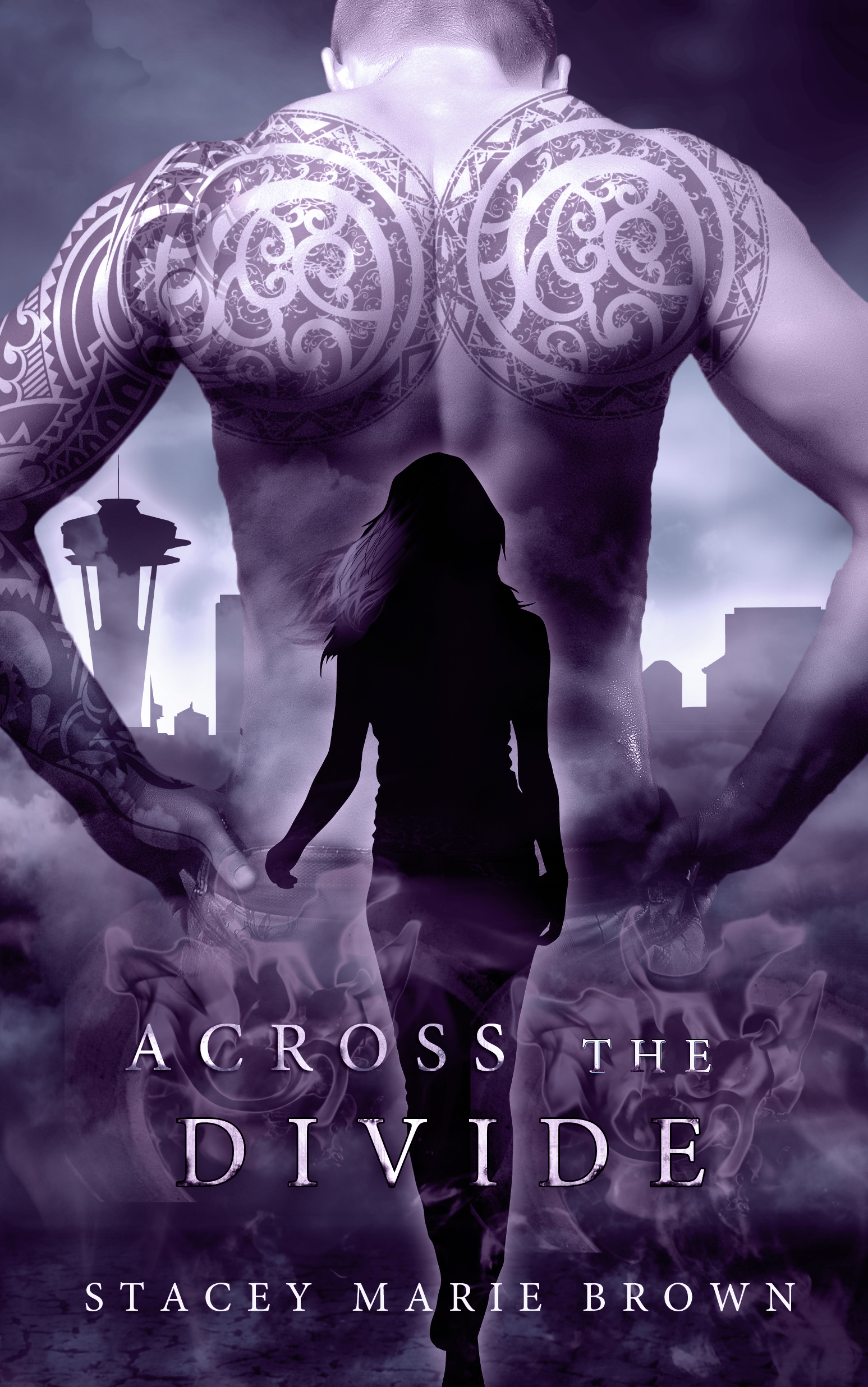 Collector book cover 3