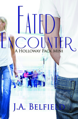 Fated Encounter book cover