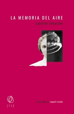 The Memory of the Air book cover