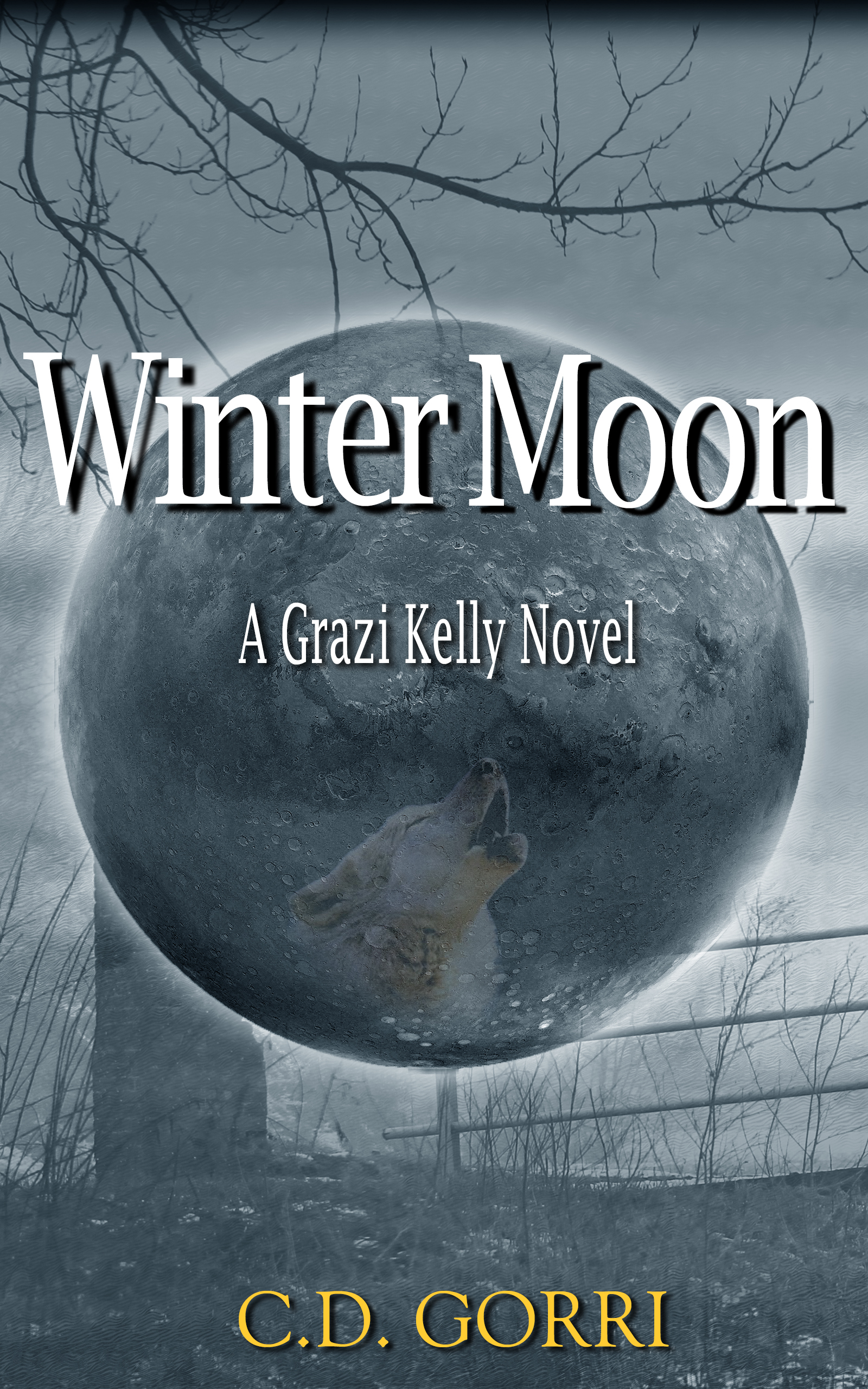 Winter Moon book cover
