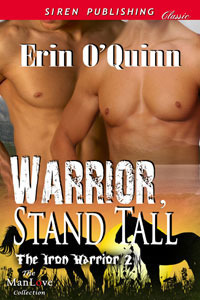 The Iron Warrior book cover 2