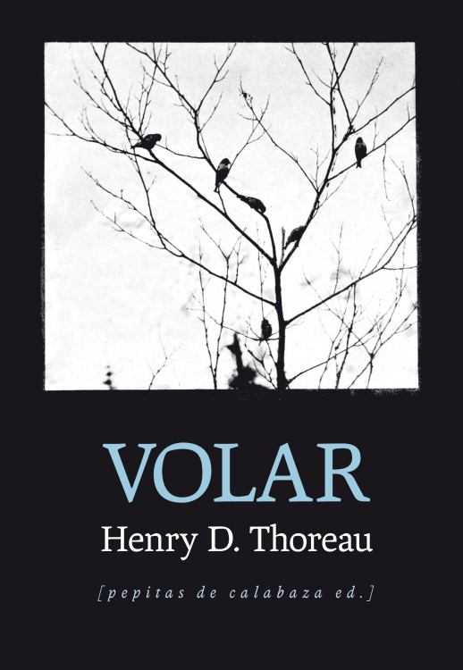 Volar book cover