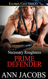 Prime Defender book cover