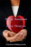 Be My Handyman book cover