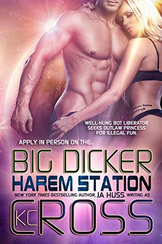 Harem Station book cover 2
