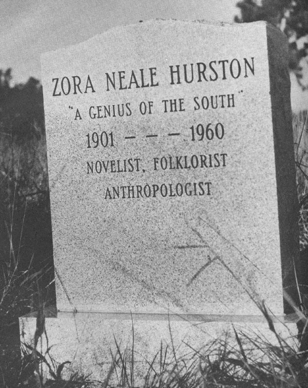 Looking for Zora book cover