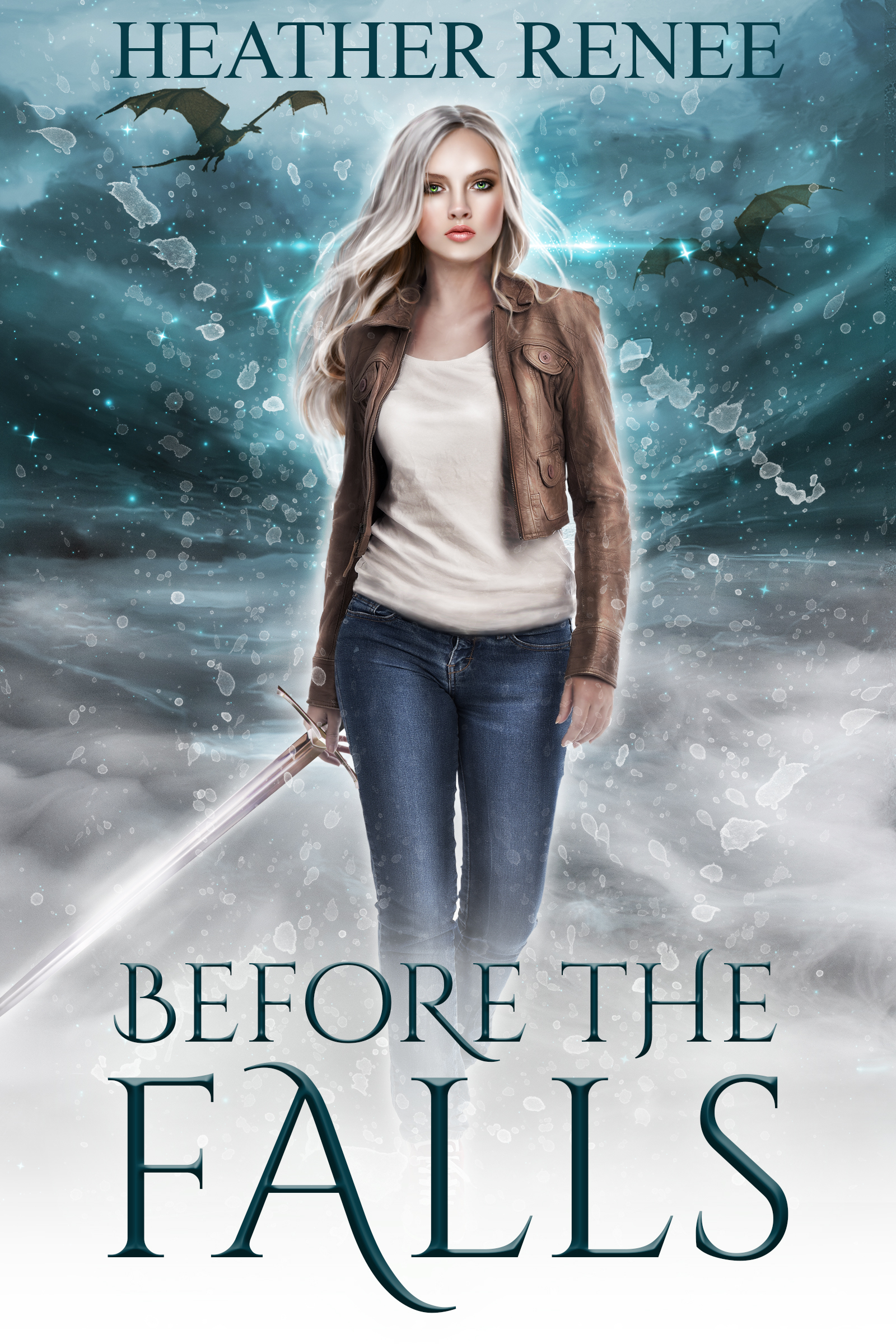 Before The Falls book cover
