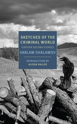 Sketches of the Criminal World book cover