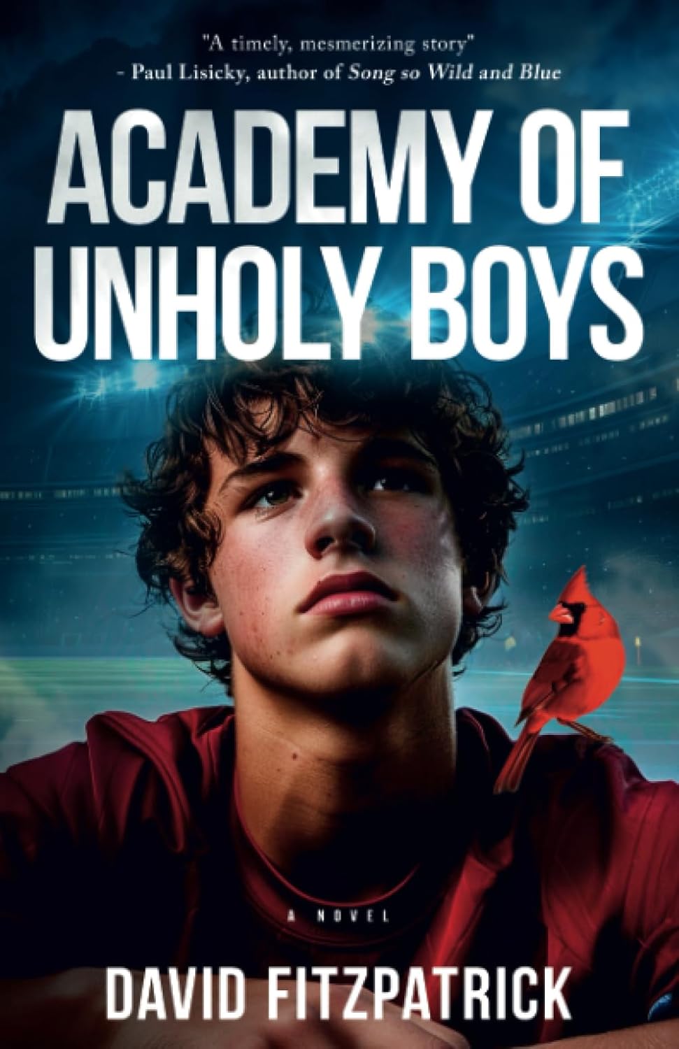 Academy of Unholy Boys book cover