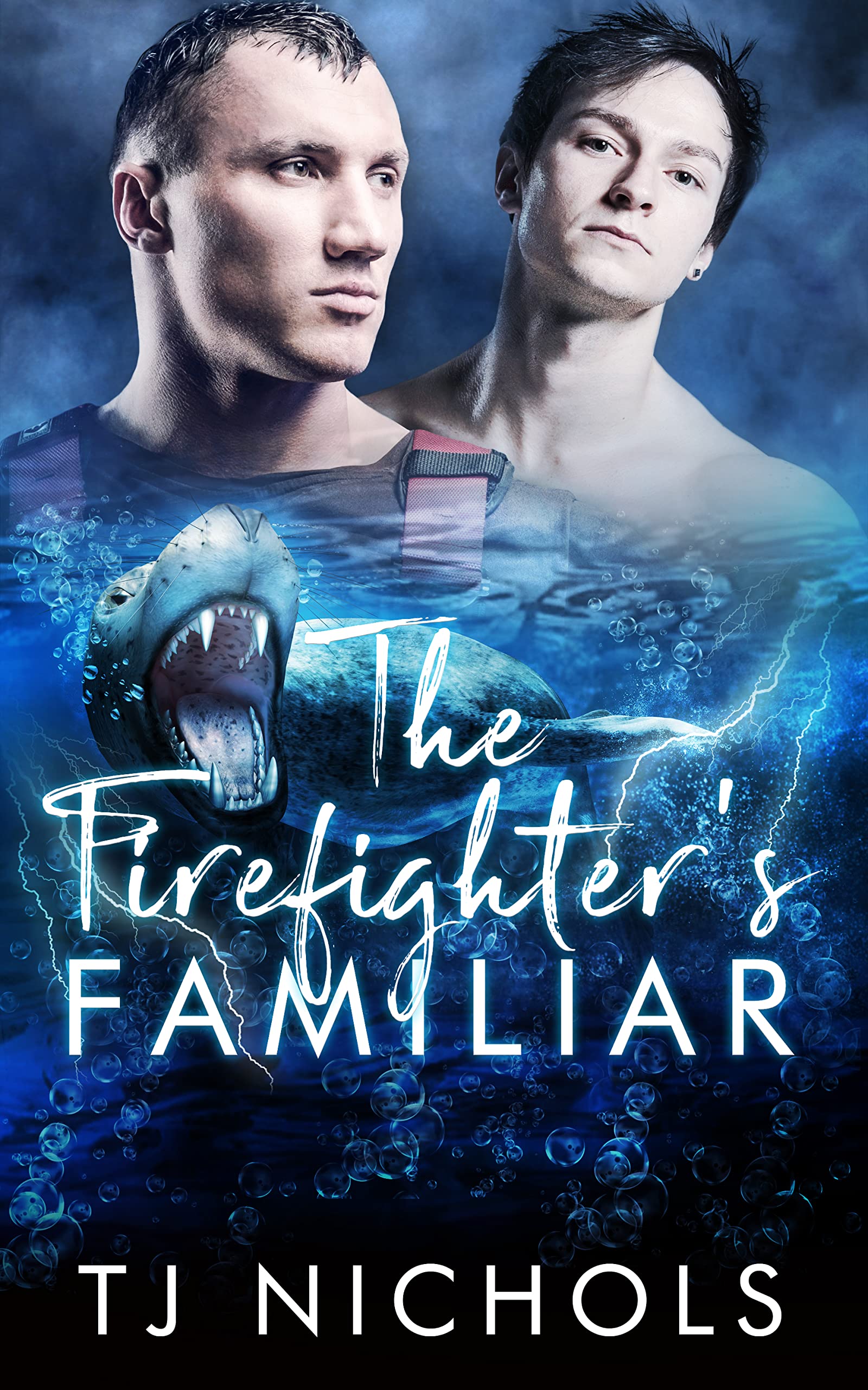 The Firefighter's Familiar book cover