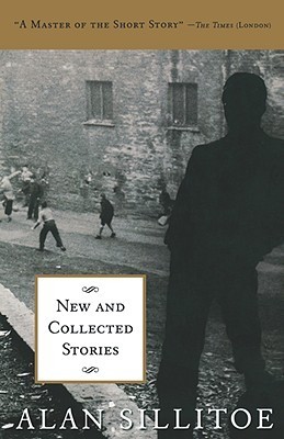 New and Collected Stories book cover