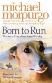 Born to Run book cover