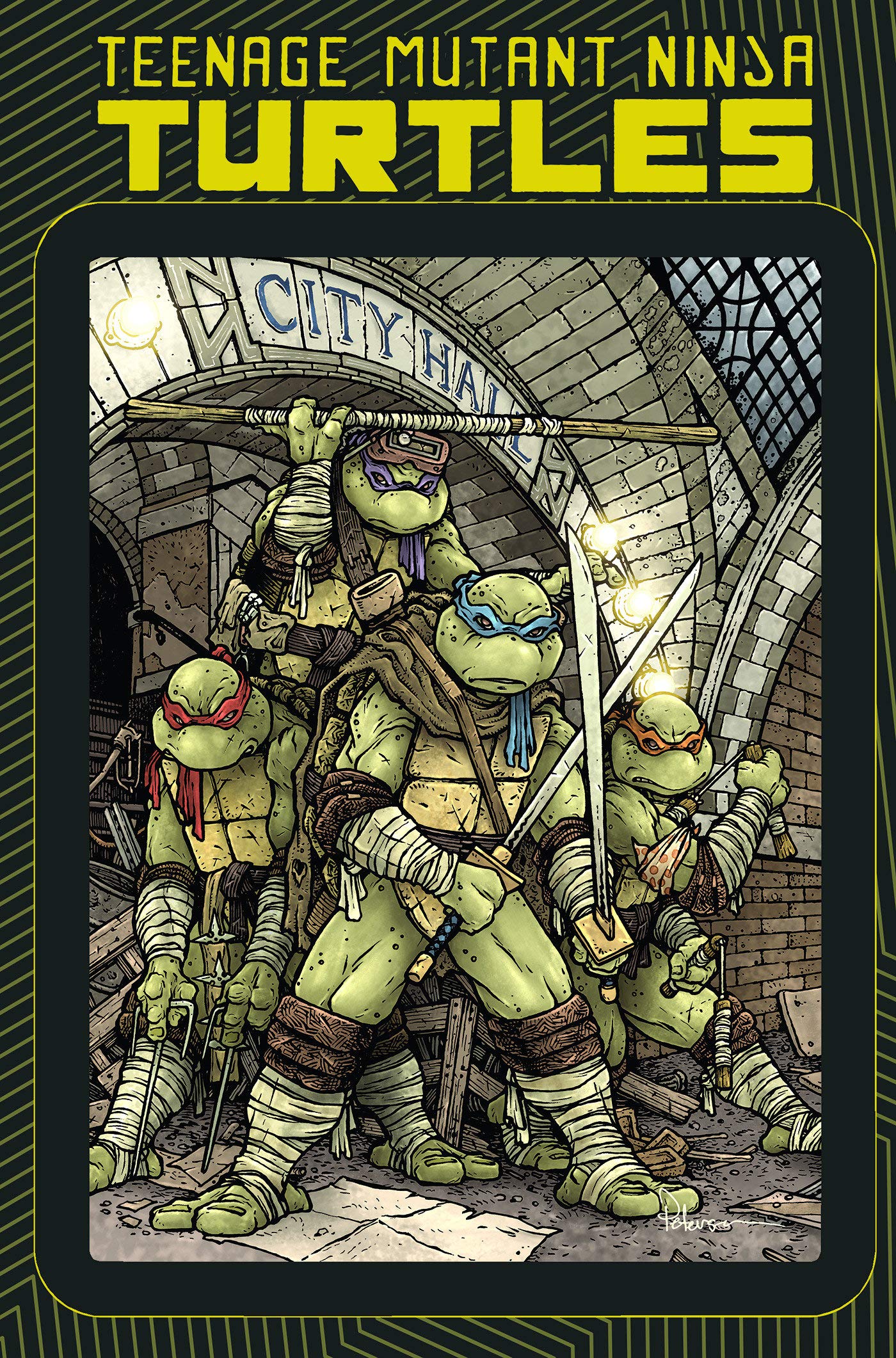 Teenage Mutant Ninja Turtles book cover