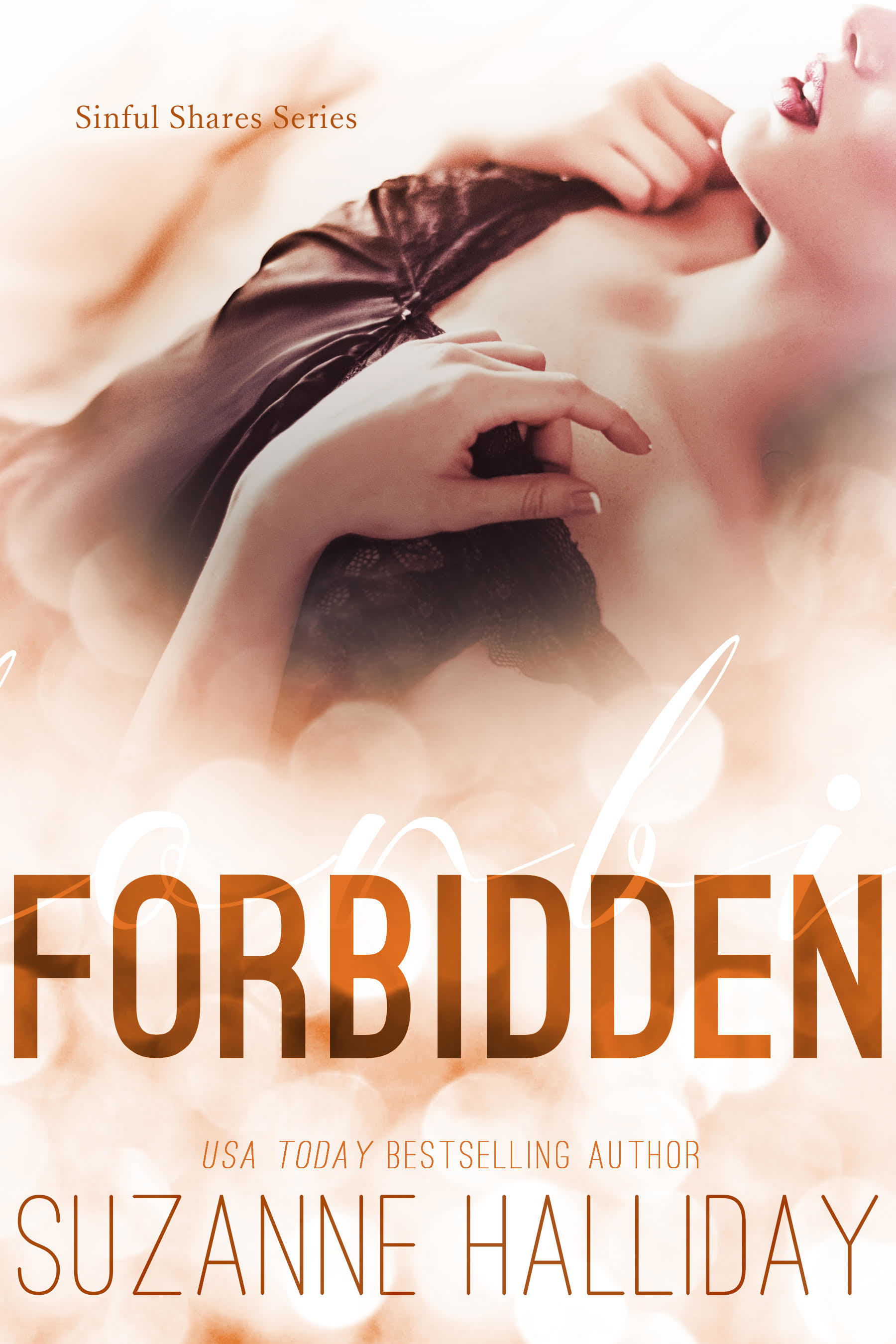 Sinful Shares book cover 3