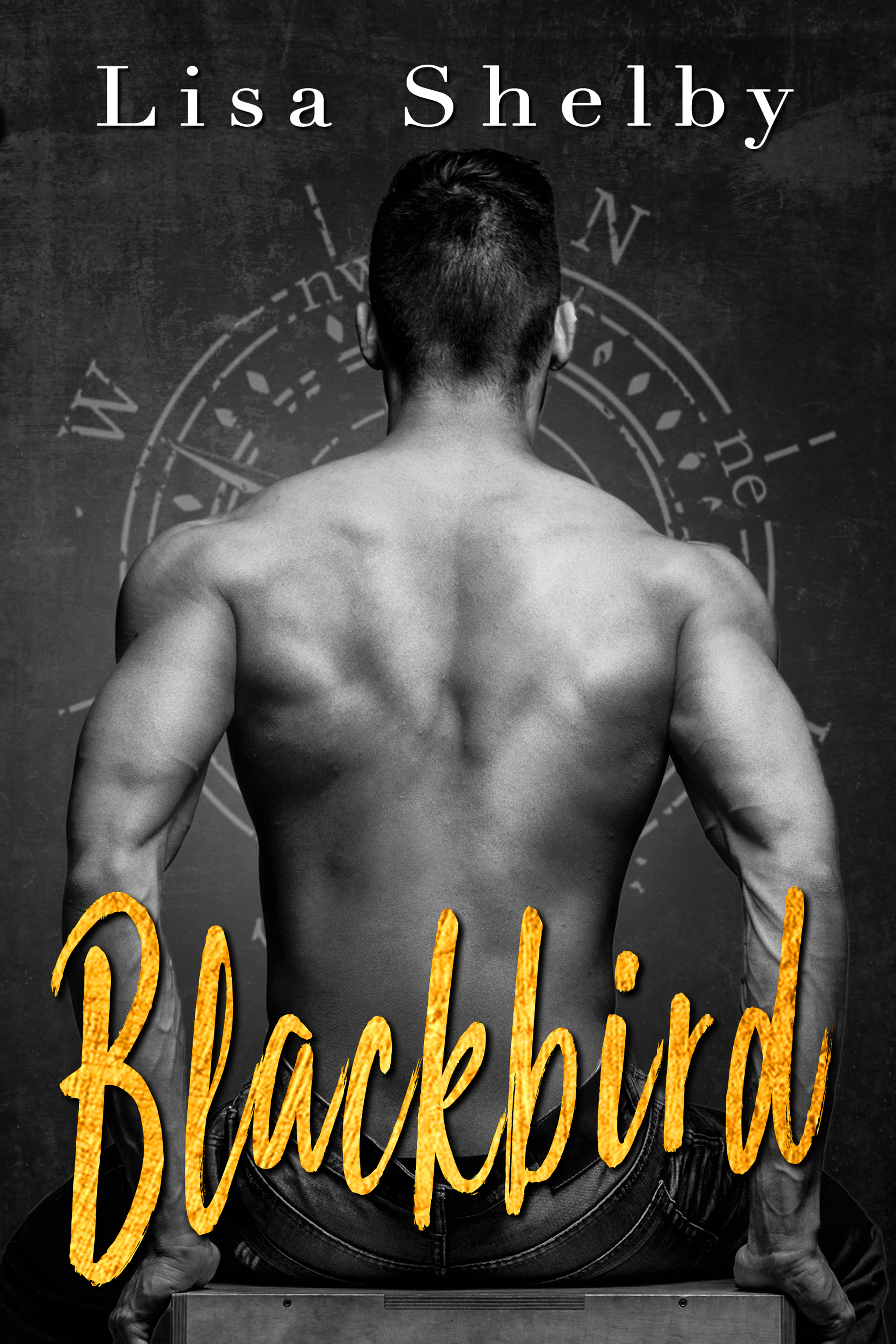 Blackbird book cover