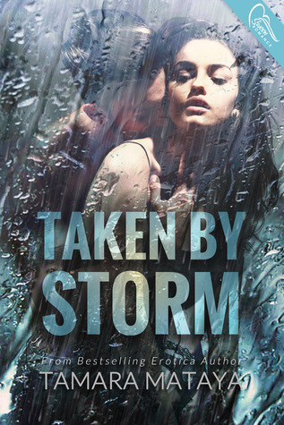 Taken by Storm book cover