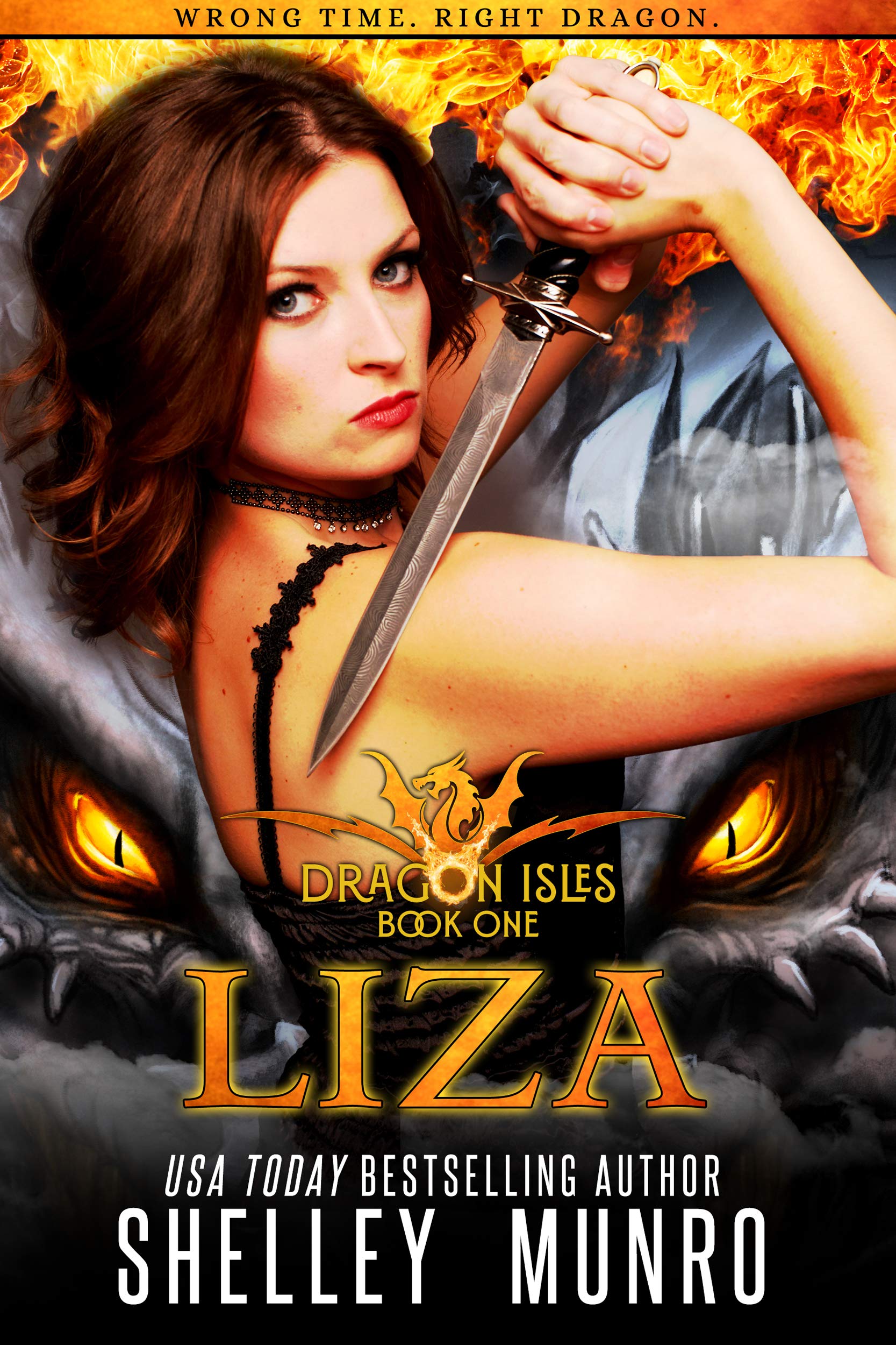 Dragon Isles book cover 1