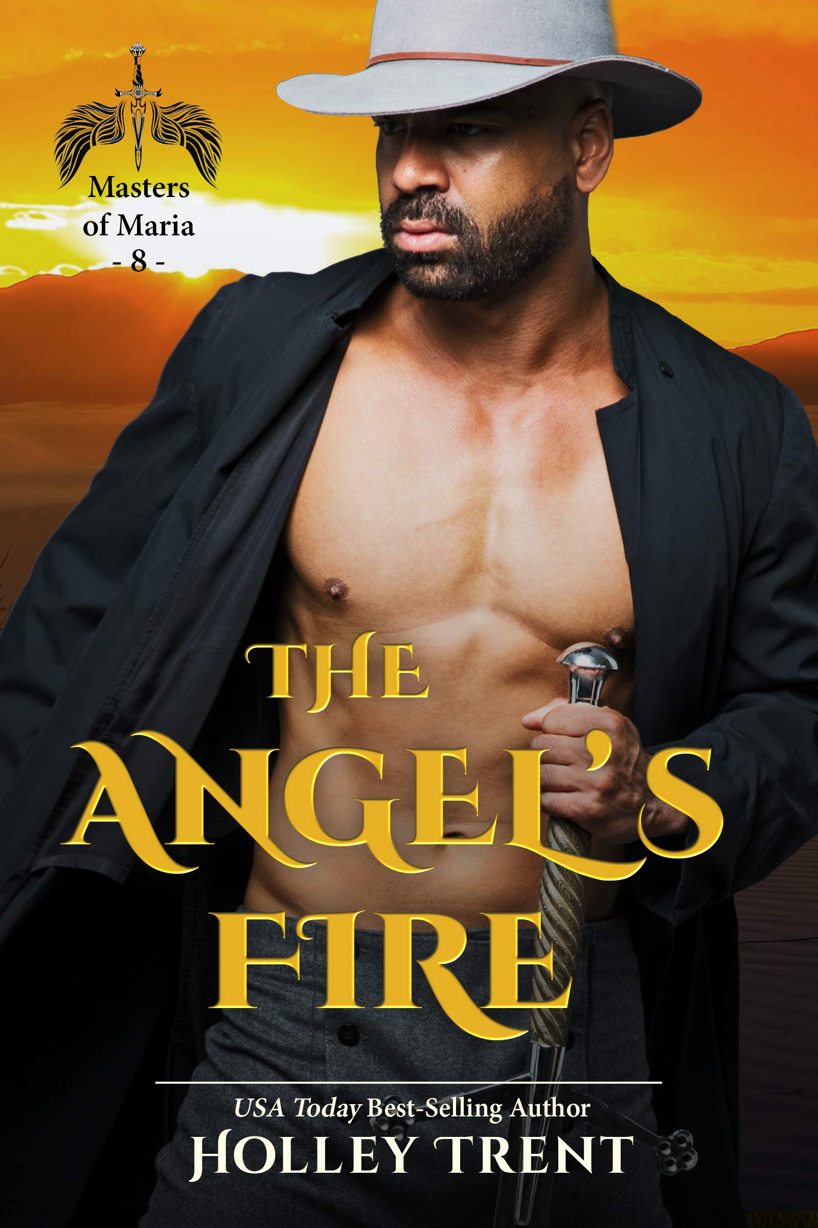 The Angel's Fire book cover