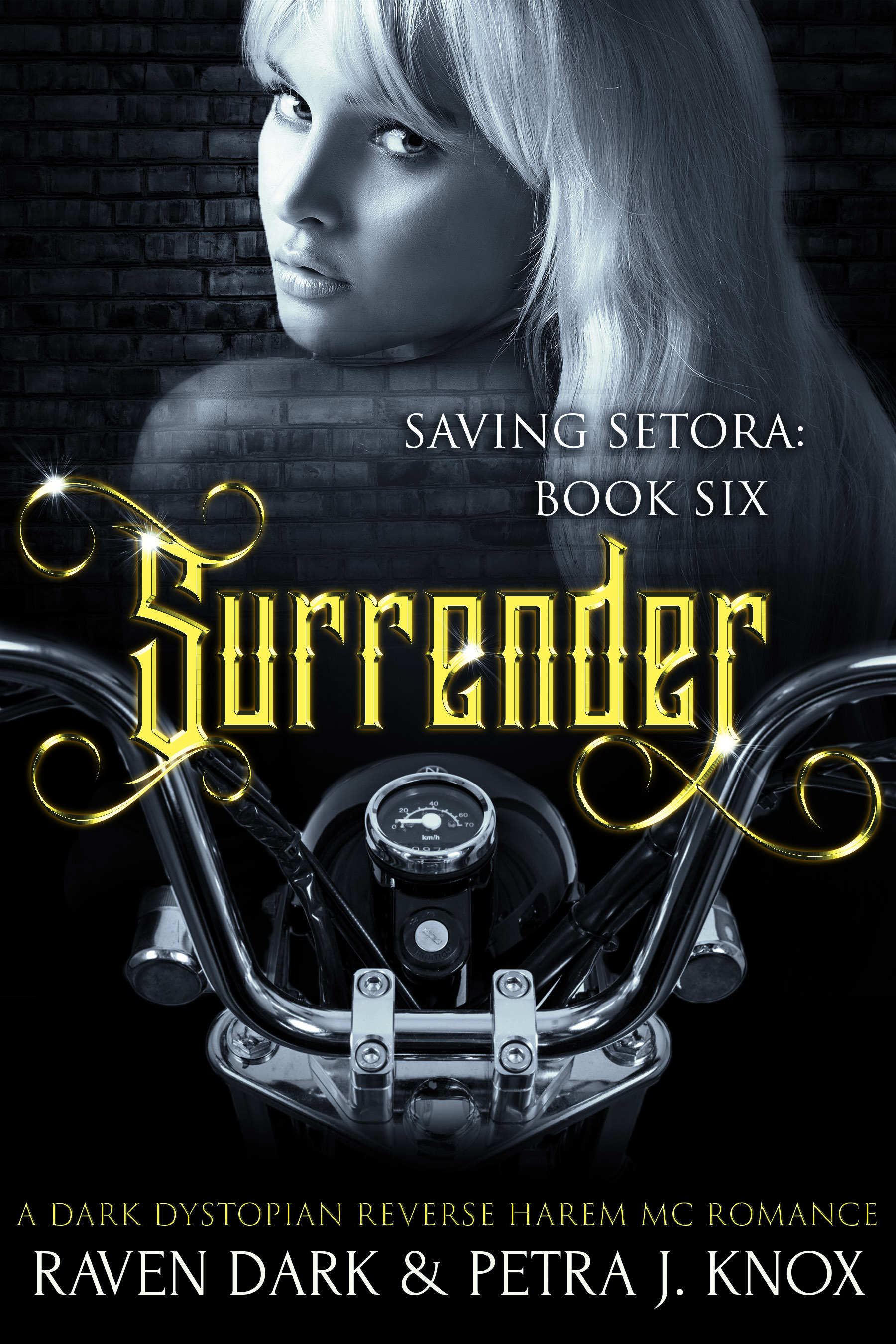 Surrender book cover