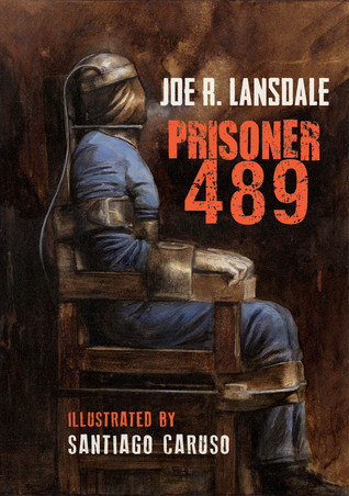 Prisoner 489 book cover