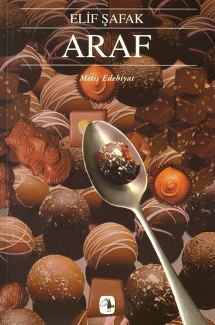 The Saint of Incipient Insanities book cover