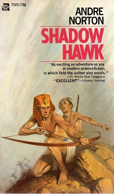Shadow Hawk book cover