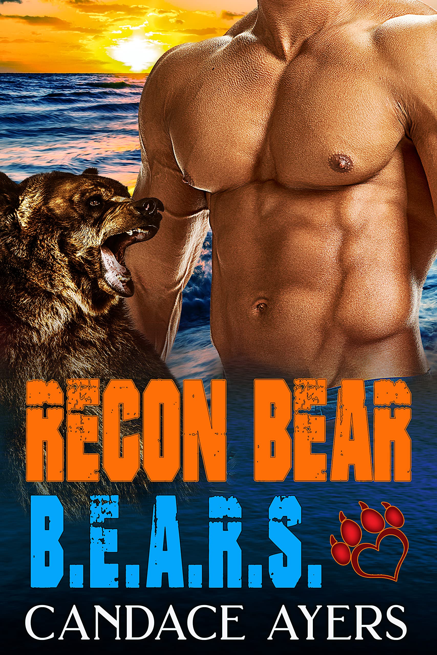 B.E.A.R.S. book cover 1