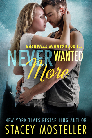 Never Wanted More book cover