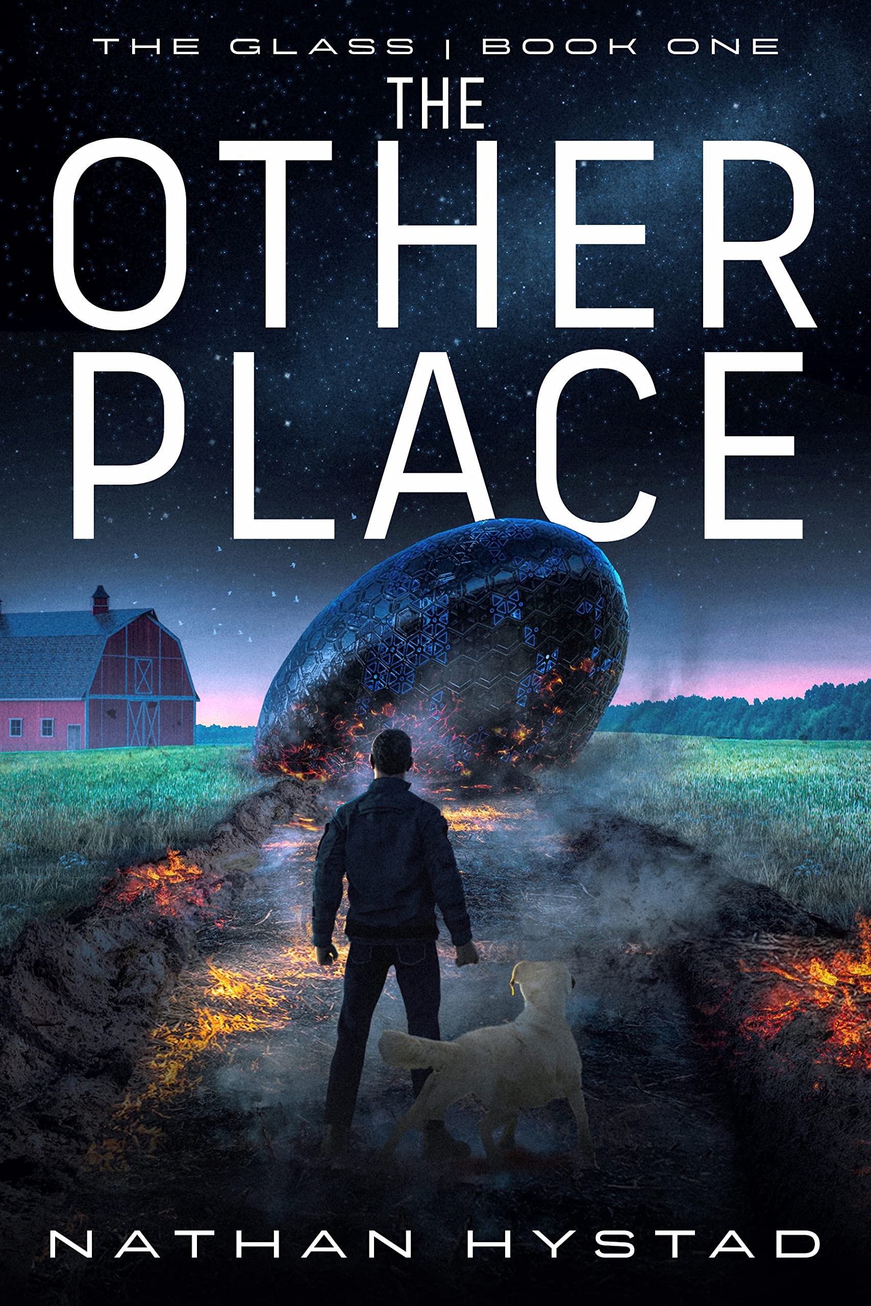 The Glass book cover 1