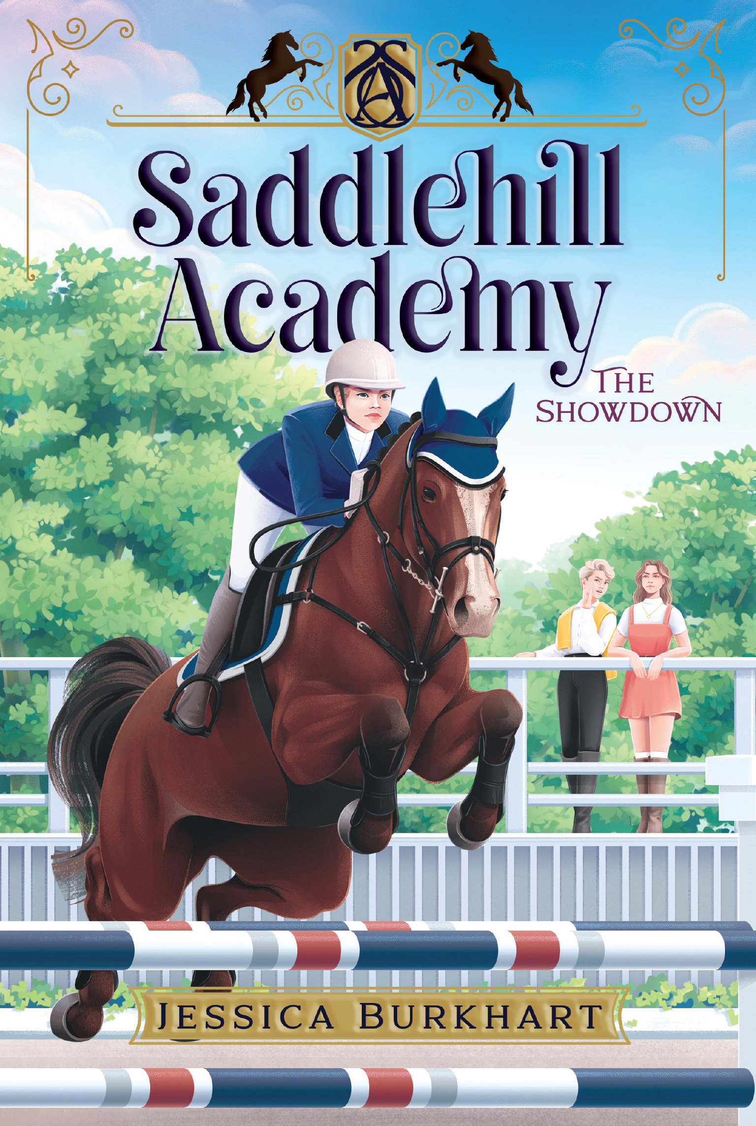 Saddlehill Academy book cover 2