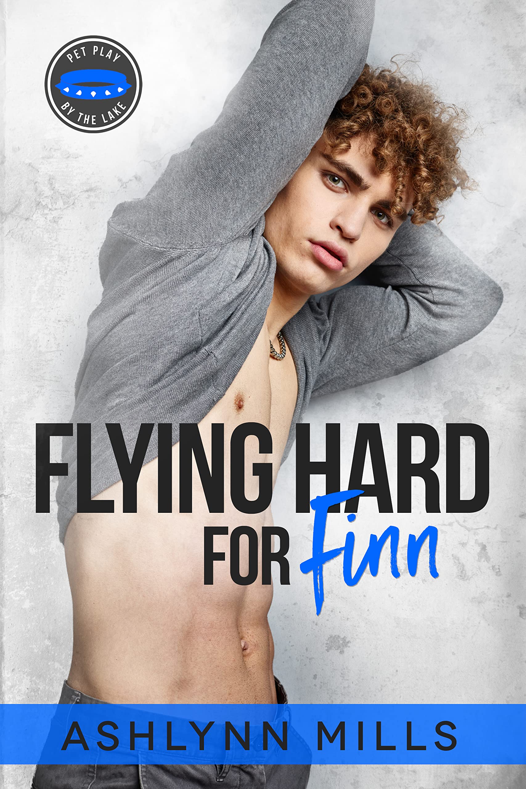 Flying Hard for Finn book cover
