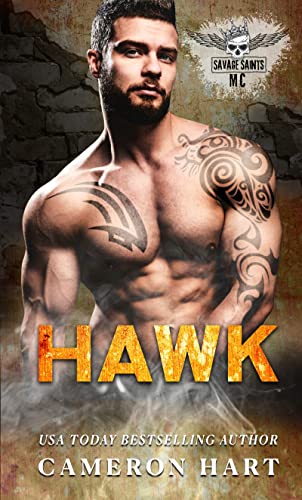 Hawk book cover