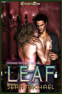 Leaf book cover