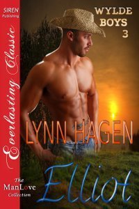 Wylde Boys book cover 3