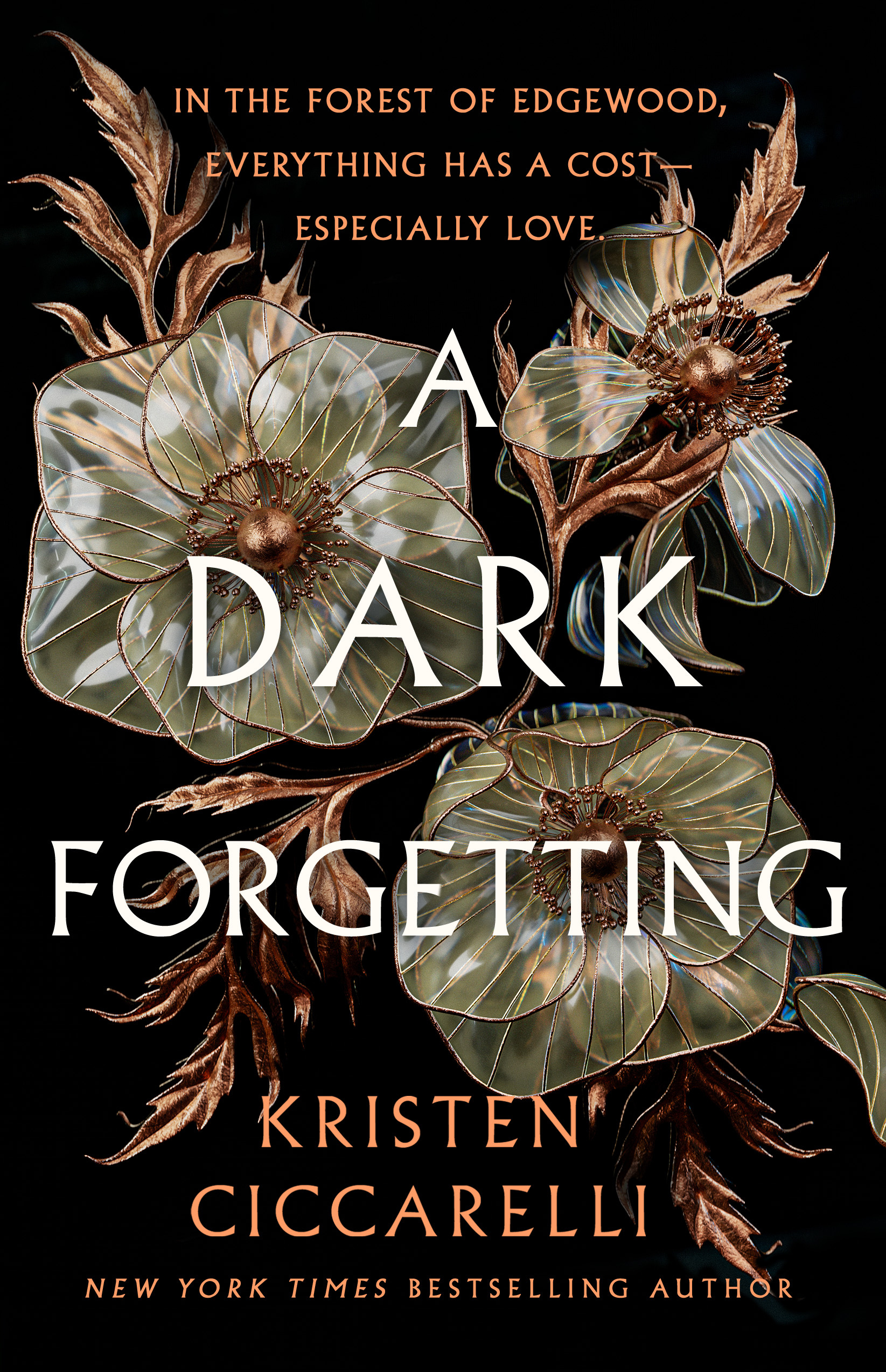 A Dark Forgetting book cover