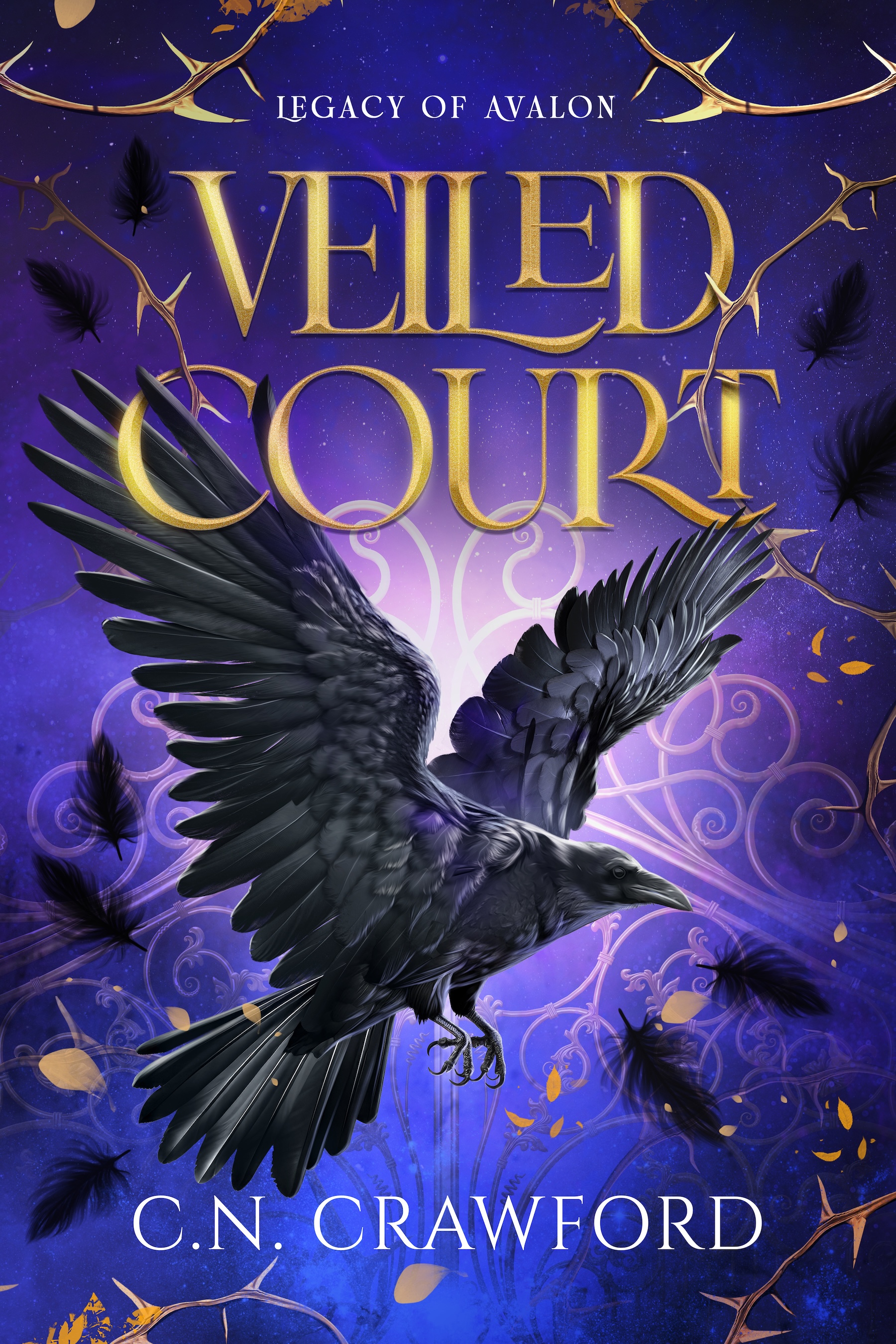 Veiled Court book cover