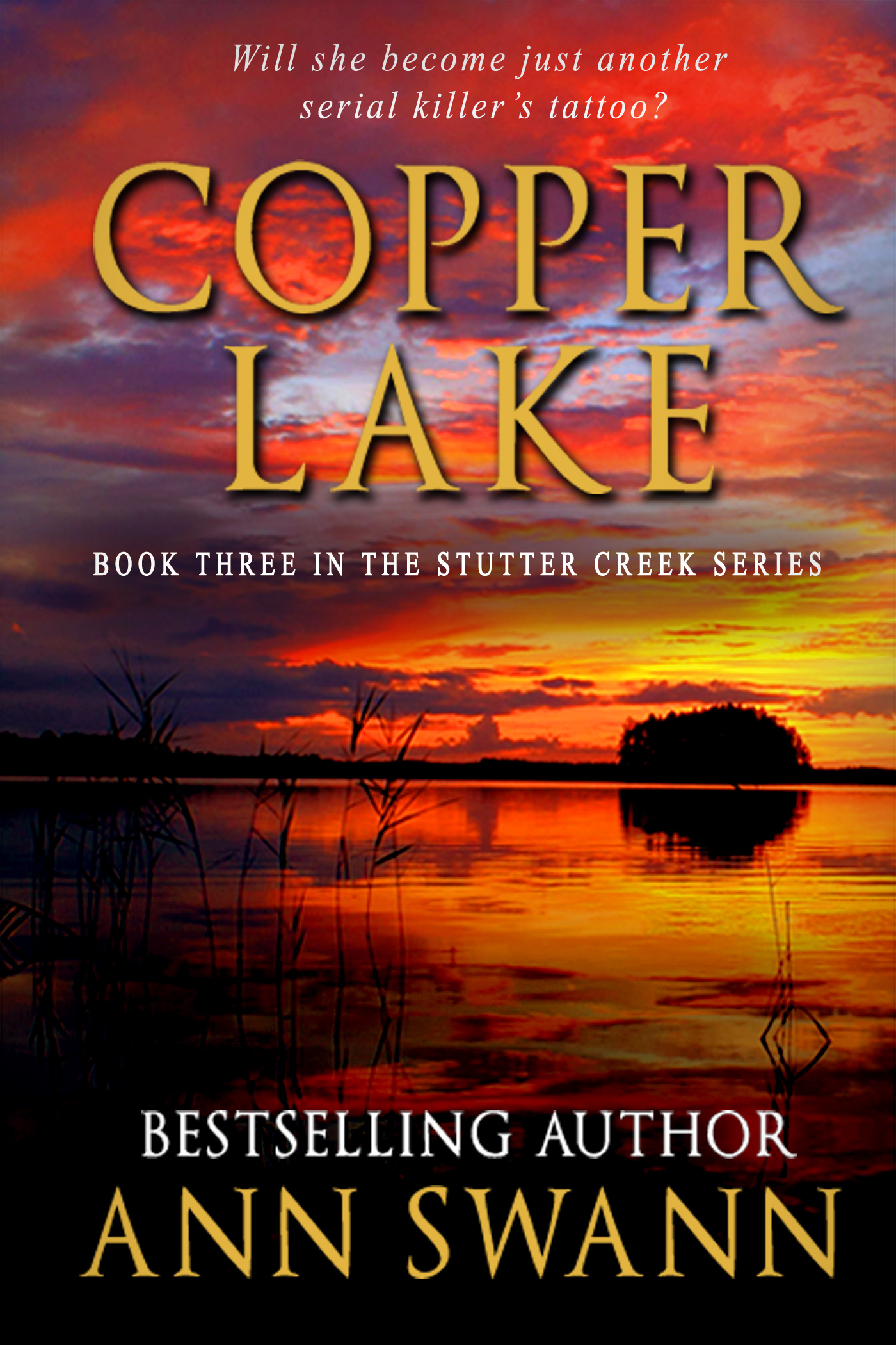 Copper Lake book cover