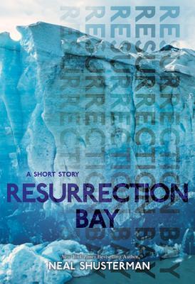 Resurrection Bay book cover