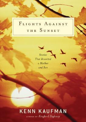 Flights Against the Sunset book cover