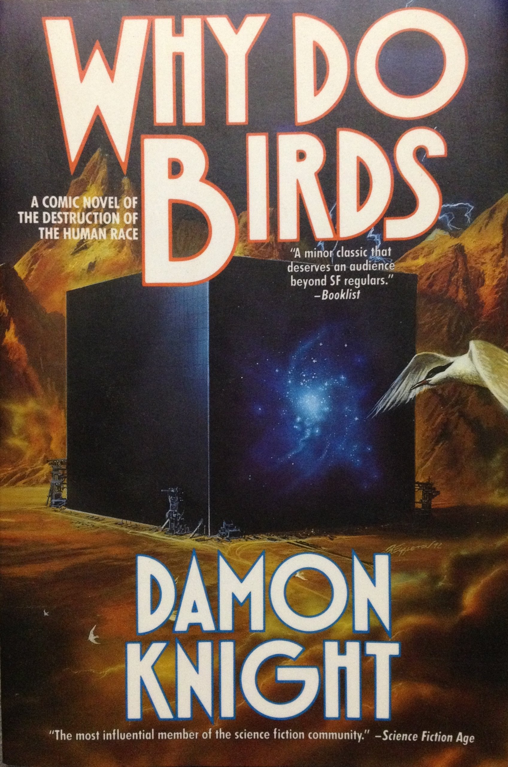 Why Do Birds book cover
