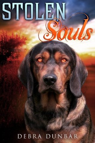 Stolen Souls book cover