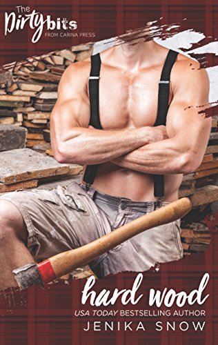 The Ash Brothers book cover 1