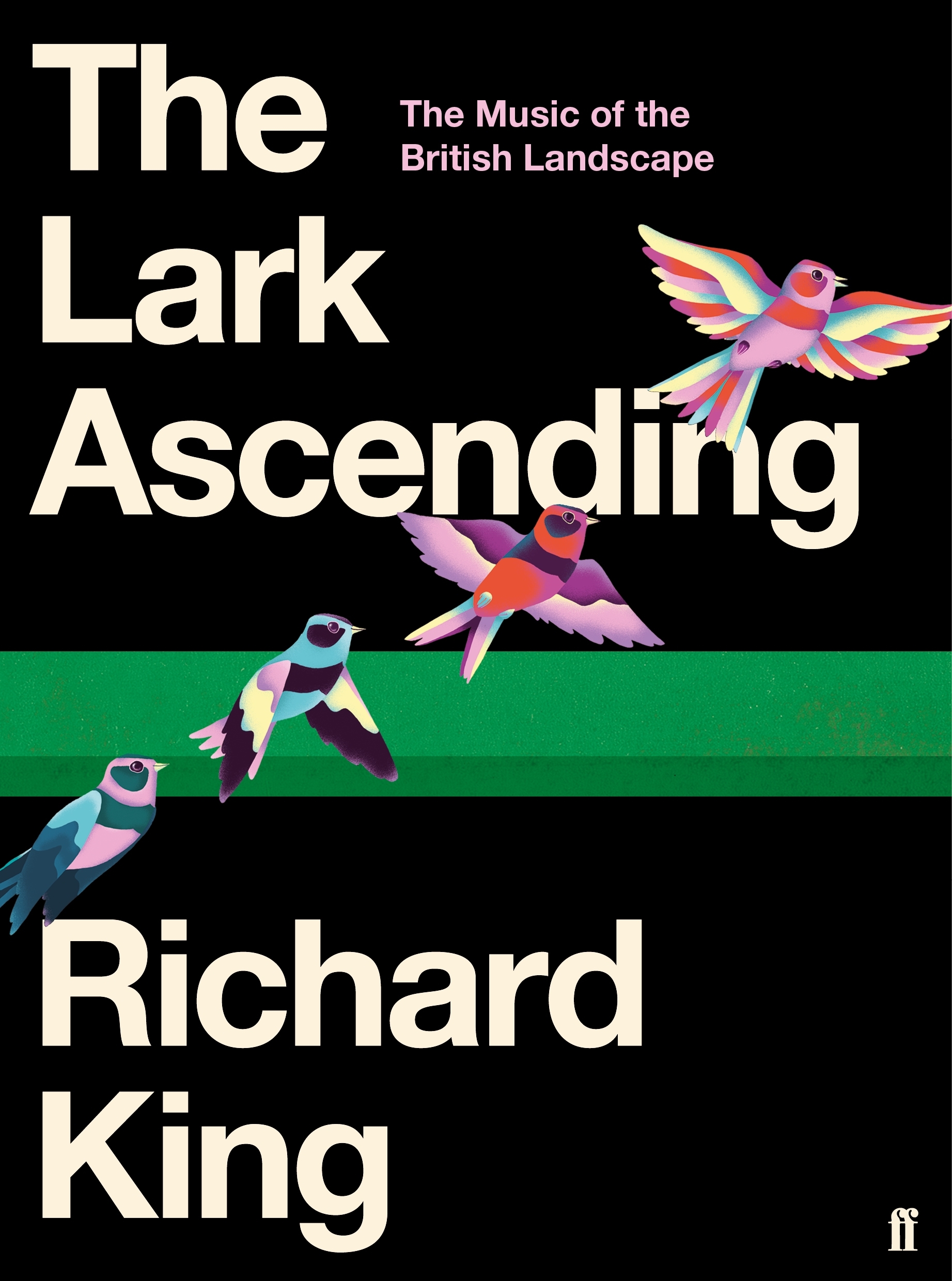 The Lark Ascending book cover