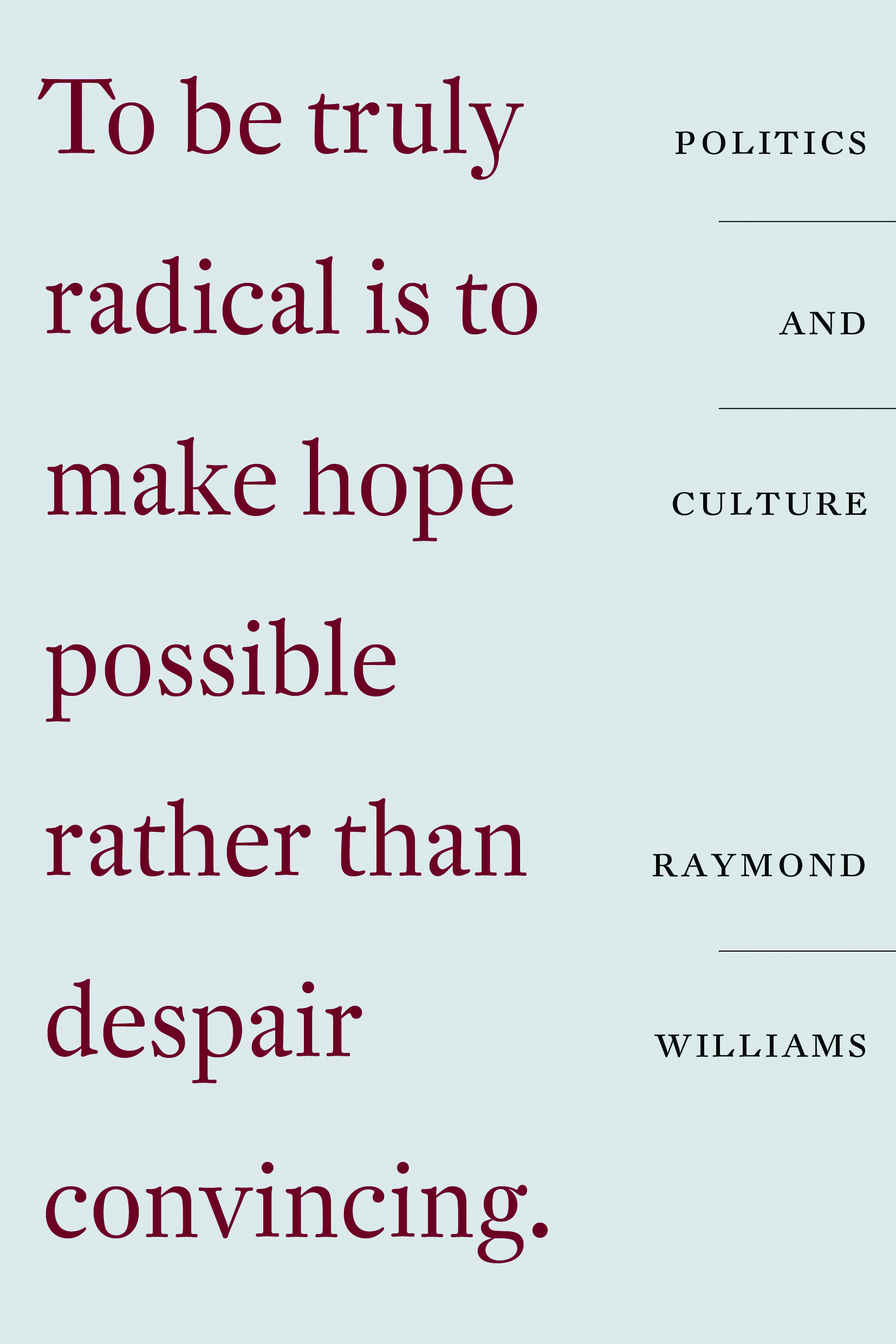 Politics and Culture book cover
