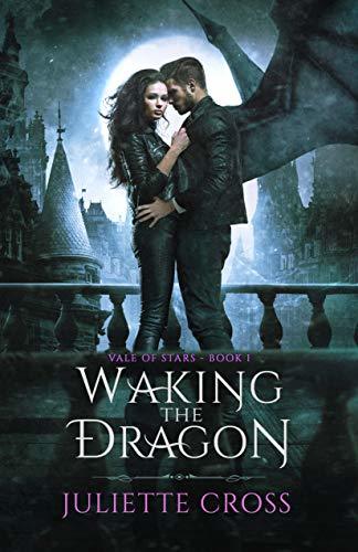 Vale of Stars book cover 1