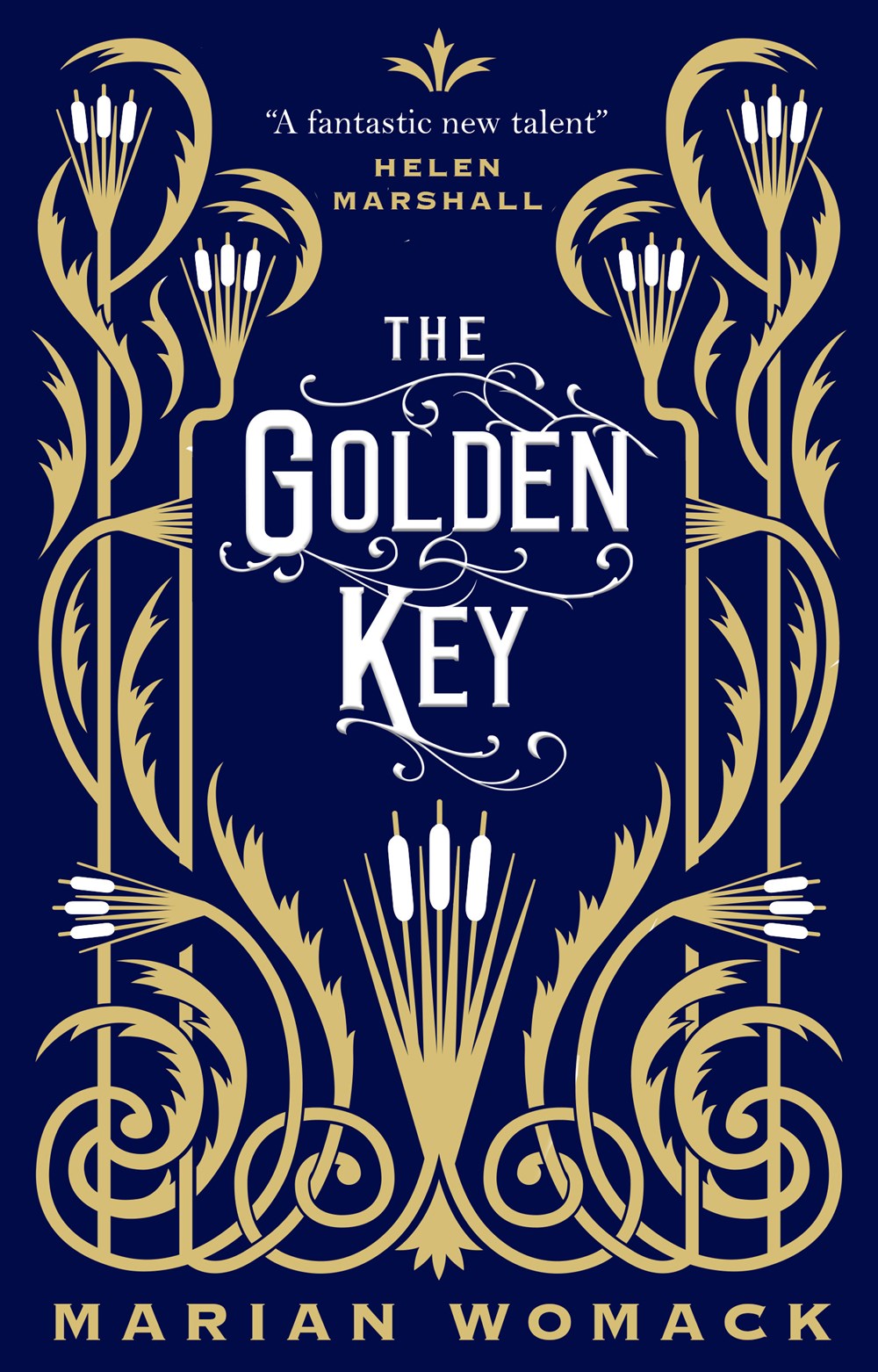 Helena Walton-Cisneros book cover 1