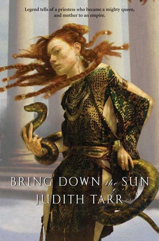 Bring Down the Sun book cover