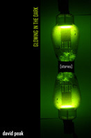 Glowing in the Dark book cover