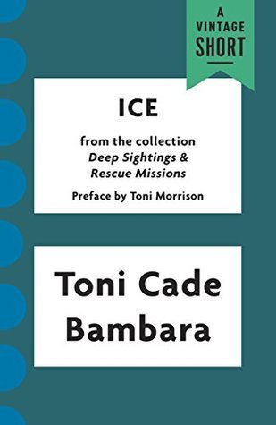 Ice book cover